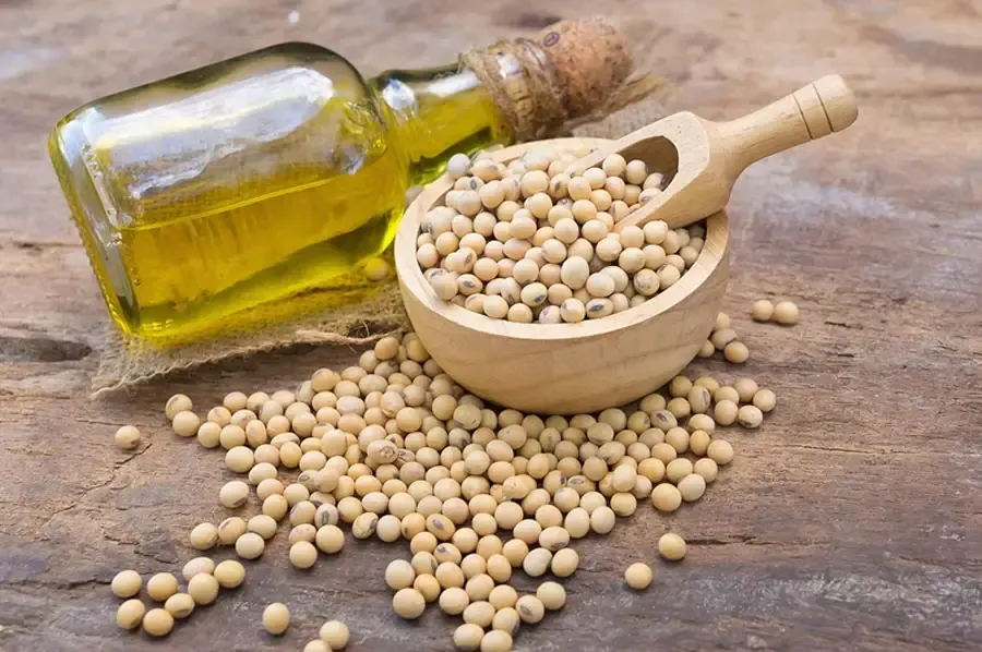 چرا تولیدکنندگان شیرینی و شکلات برای بهبود بافت و جلوگیری از جداشدگی به لسیتین آفتابگردان نیاز دارند؟