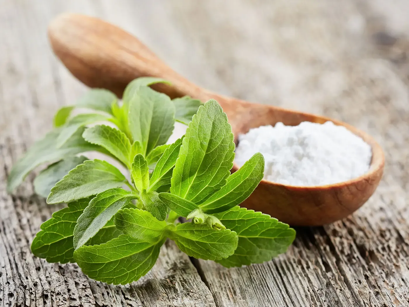 چرا تولیدکنندگان مواد غذایی برای تولید محصولات رژیمی و دیابتی به استویا نیاز دارند؟